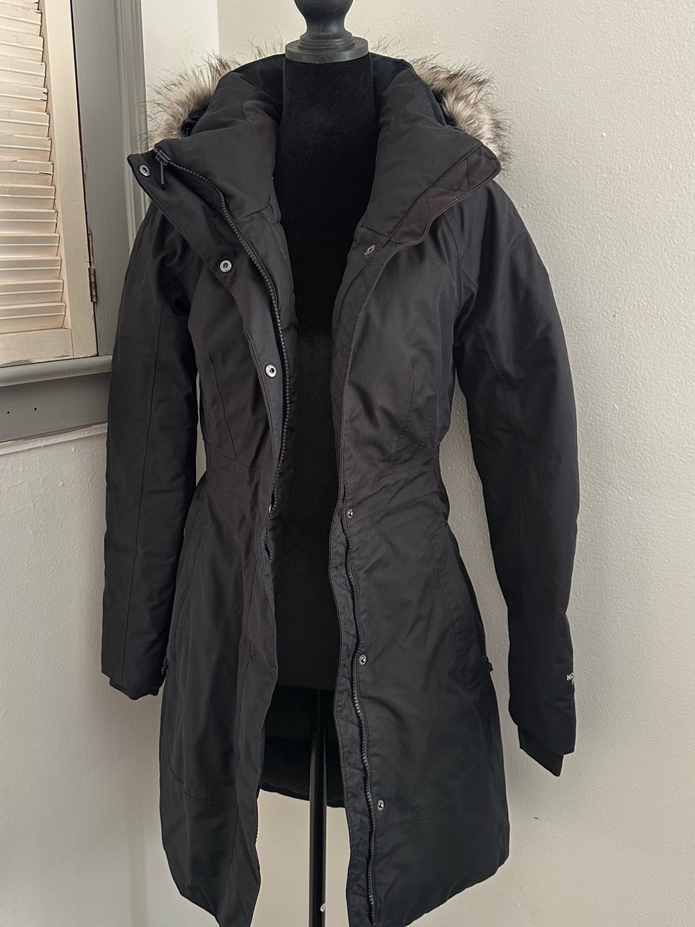 The North Face Women's Arctic Parka coat